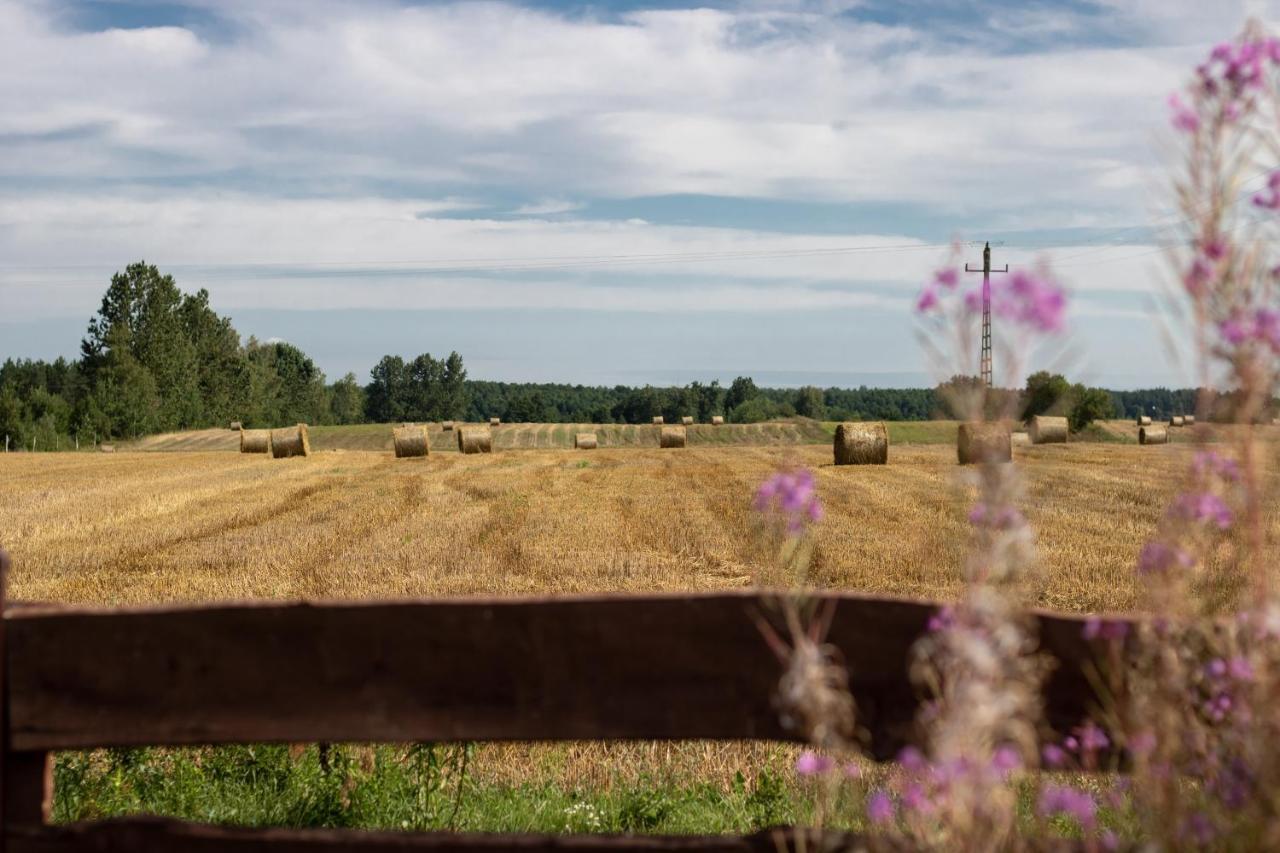 Вилла Lesna 21 Dom Polnoc Przy Zalew Siemianowka Luka Экстерьер фото
